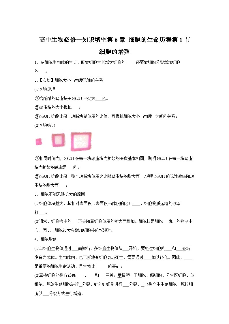 高中生物微专题-必修一知识填空-第6章 第1节 细胞的增殖-2025年高考生物一轮复习知识填空练习第1页