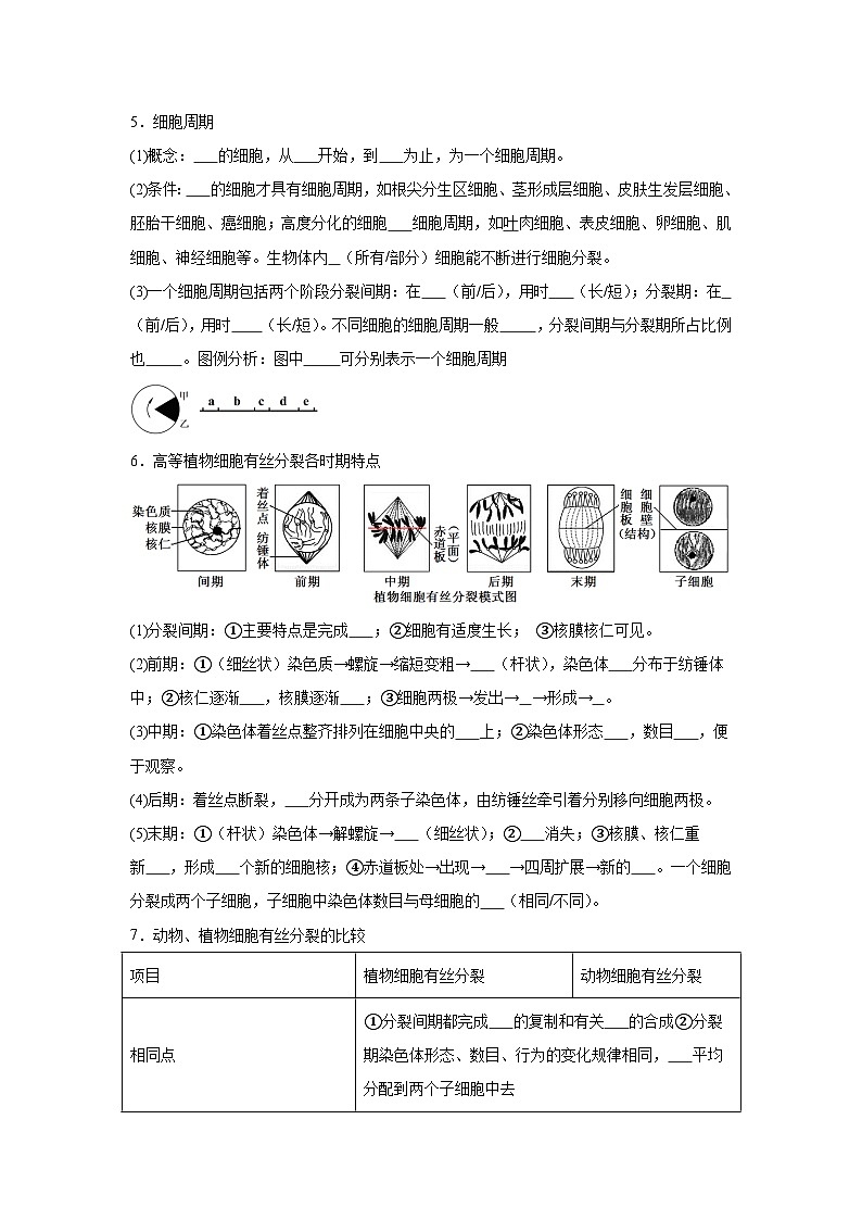 高中生物微专题-必修一知识填空-第6章 第1节 细胞的增殖-2025年高考生物一轮复习知识填空练习第2页
