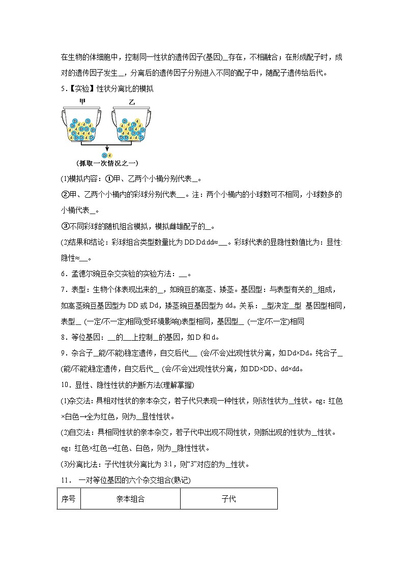 高中生物微专题-必修二知识填空-第1章 第1节 孟德尔的豌豆杂交实验(1)-2025年高考生物一轮复习知识填空练习第3页