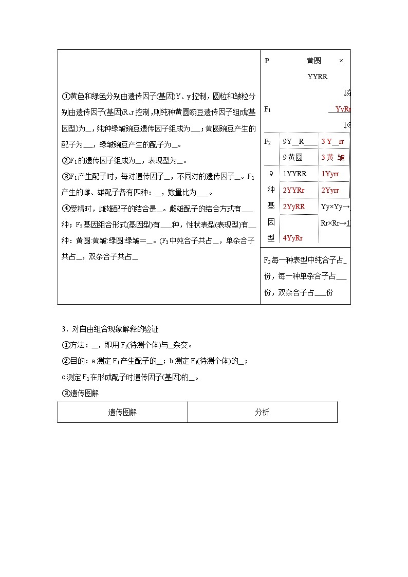 高中生物微专题-必修二知识填空-第1章 第2节 孟德尔的豌豆杂交实验(2)-2025年高考生物一轮复习知识填空练习第2页