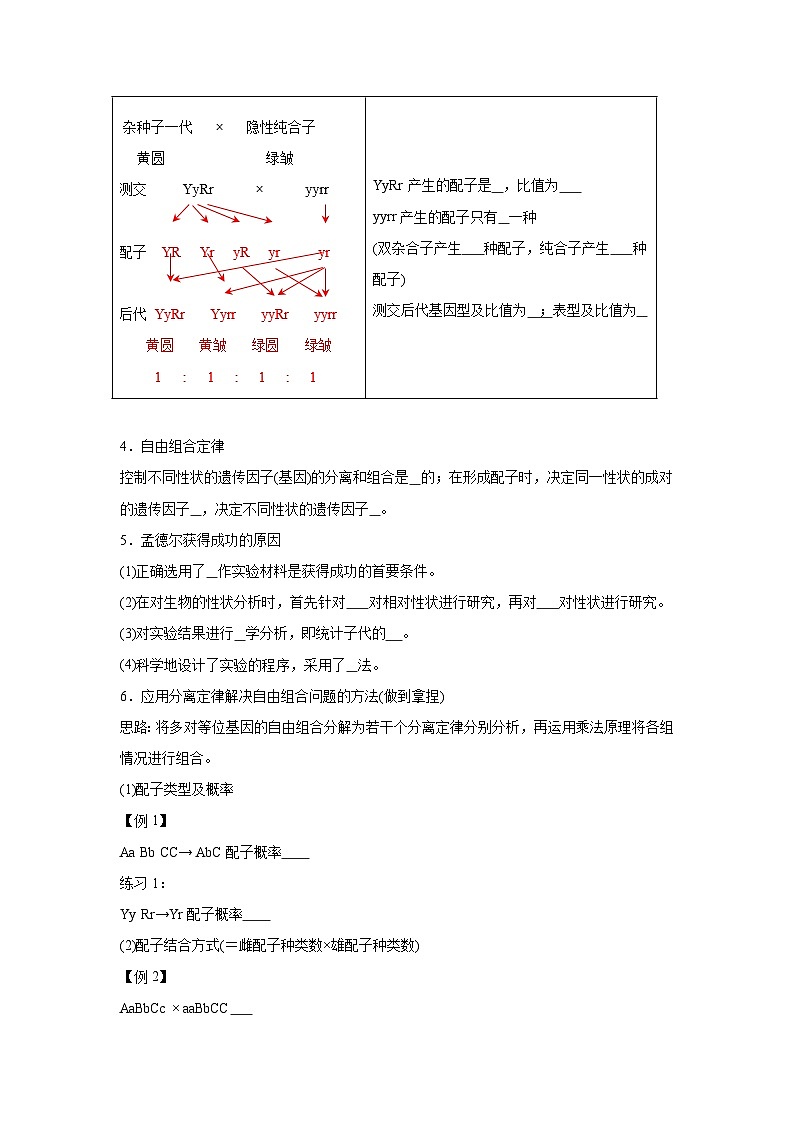 高中生物微专题-必修二知识填空-第1章 第2节 孟德尔的豌豆杂交实验(2)-2025年高考生物一轮复习知识填空练习第3页