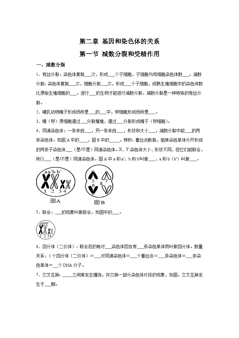 高中生物微专题-必修二知识填空-第2章 第1节 减数分裂和受精作用-2025年高考生物一轮复习知识填空练习第1页