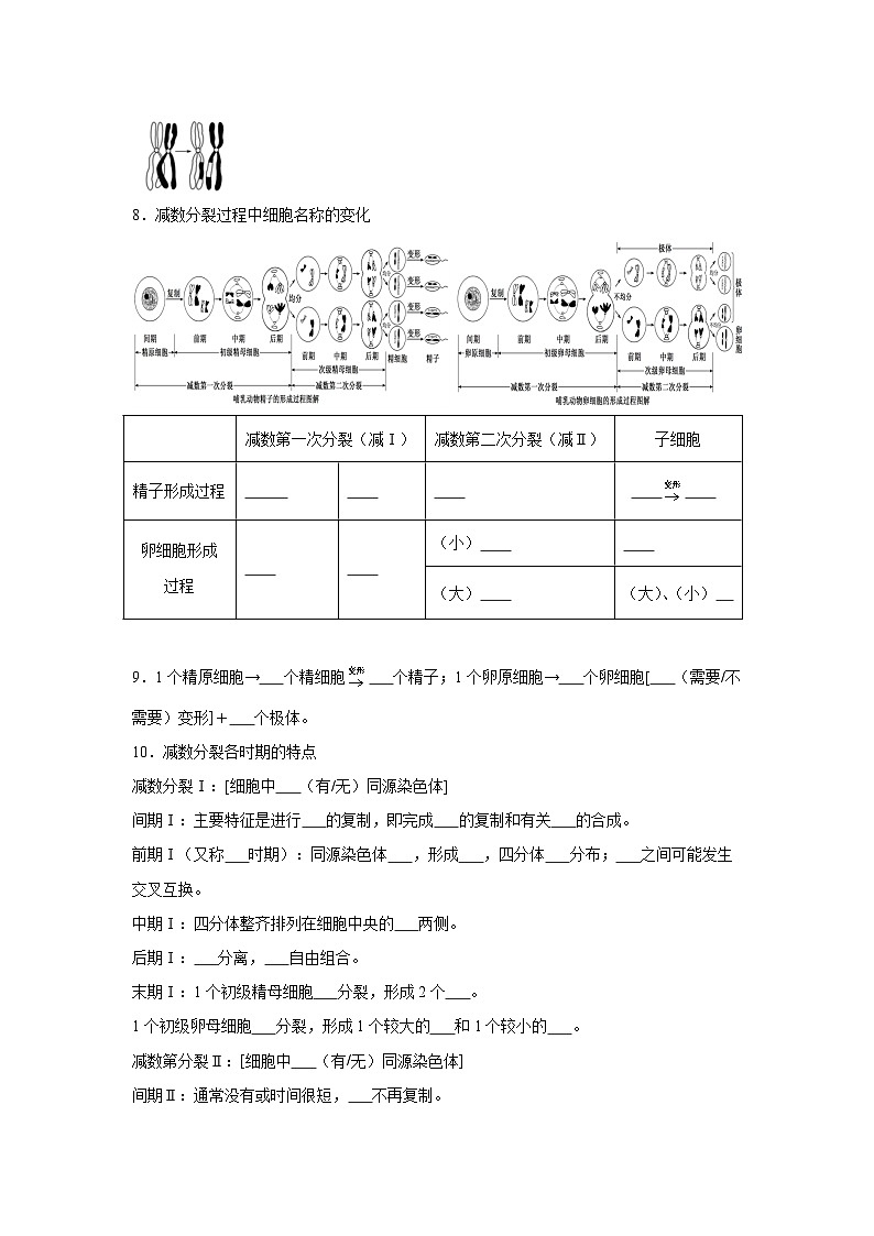 高中生物微专题-必修二知识填空-第2章 第1节 减数分裂和受精作用-2025年高考生物一轮复习知识填空练习第2页