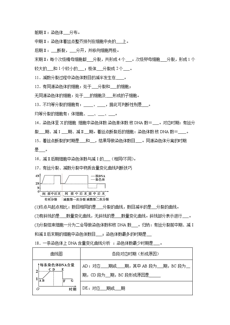 高中生物微专题-必修二知识填空-第2章 第1节 减数分裂和受精作用-2025年高考生物一轮复习知识填空练习第3页