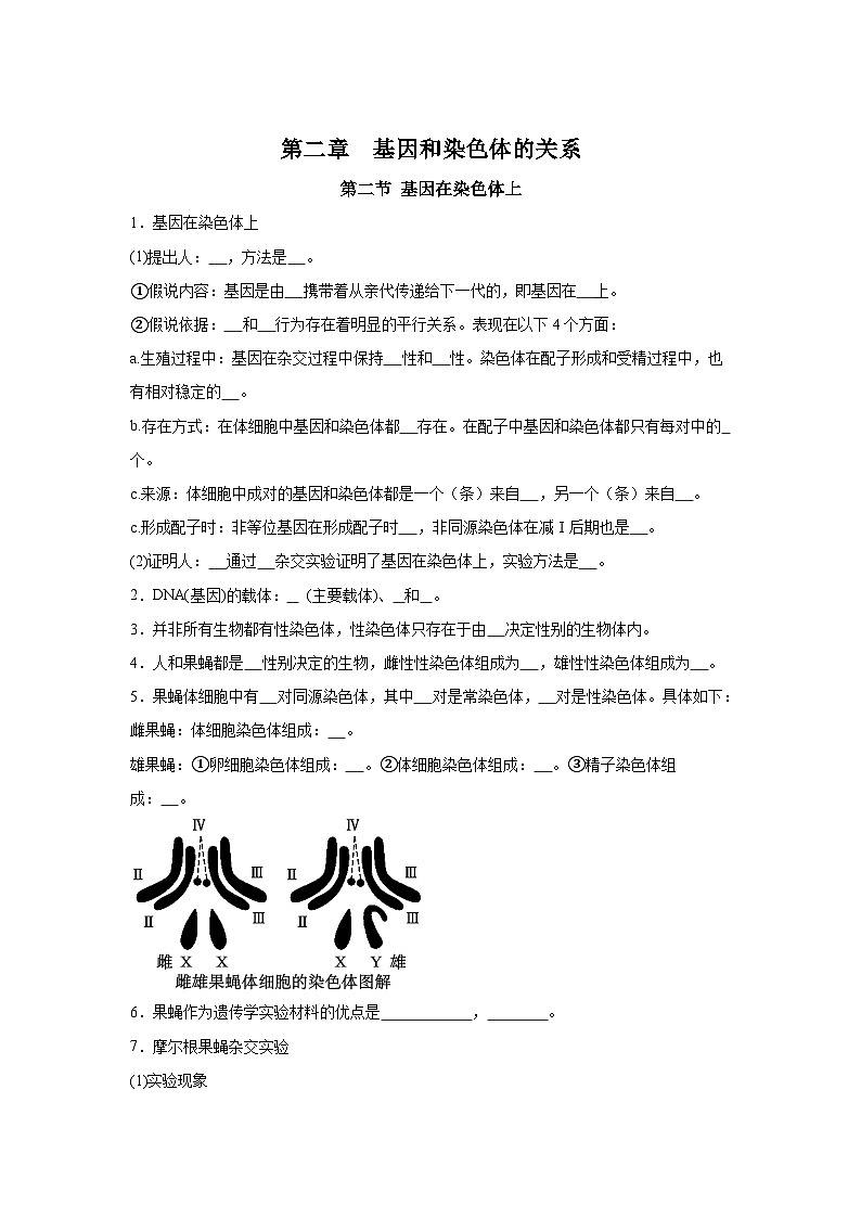 高中生物微专题-必修二知识填空-第2章 第2节 基因在染色体上-2025年高考生物一轮复习知识填空练习第1页