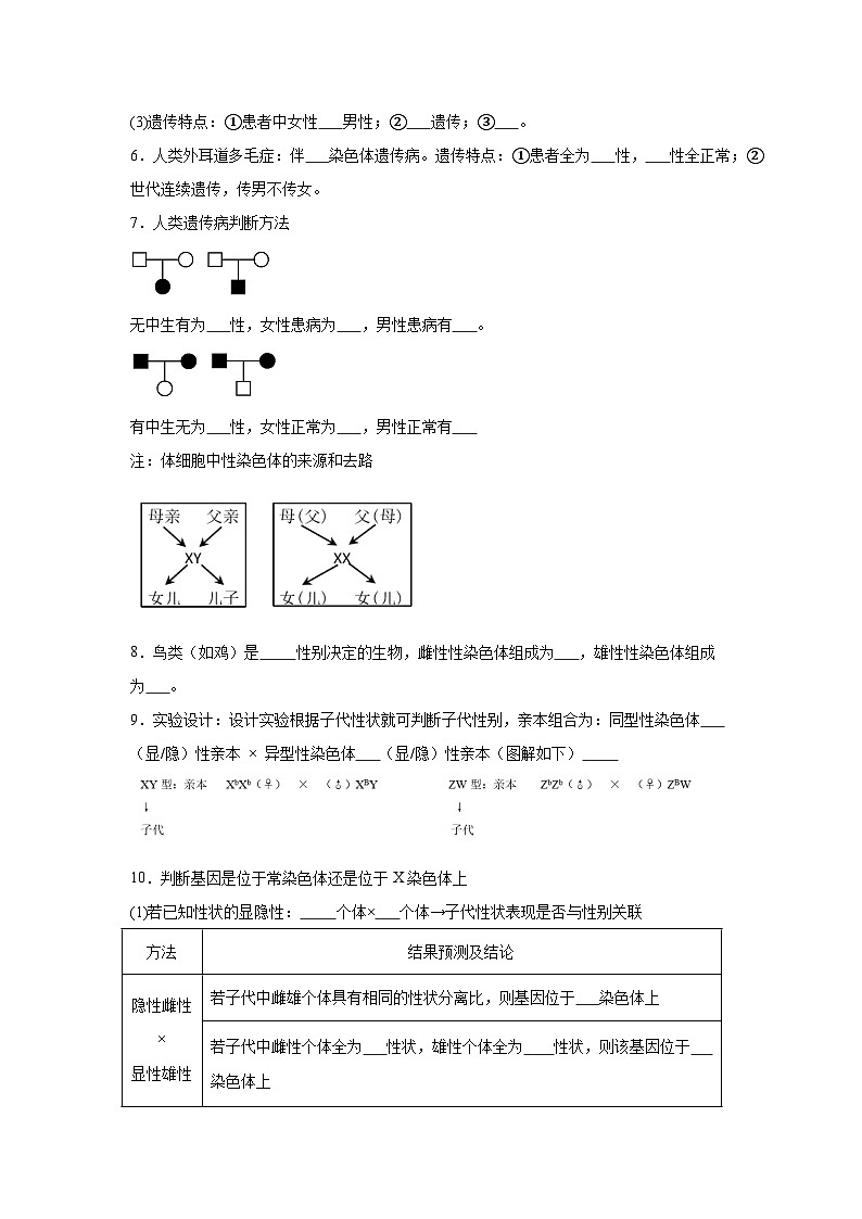 高中生物微专题-必修二知识填空-第2章 第3节 伴性遗传-2025年高考生物一轮复习知识填空练习第2页