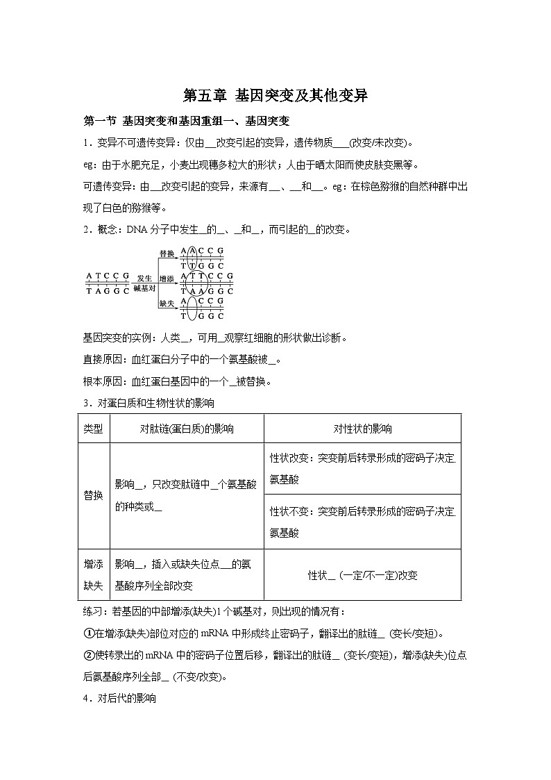高中生物微专题-必修二知识填空-第5章 第1节 基因突变和基因重组-2025年高考生物一轮复习知识填空练习第1页