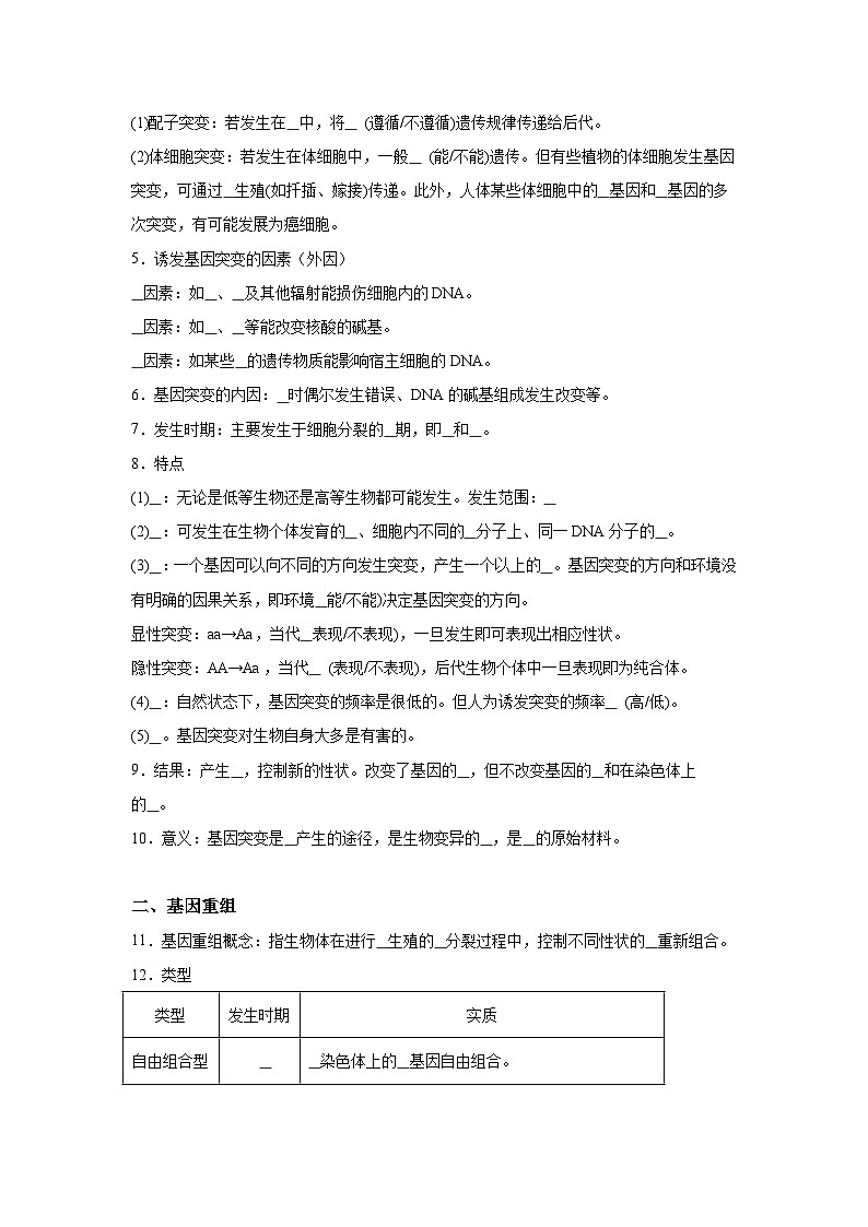 高中生物微专题-必修二知识填空-第5章 第1节 基因突变和基因重组-2025年高考生物一轮复习知识填空练习第2页