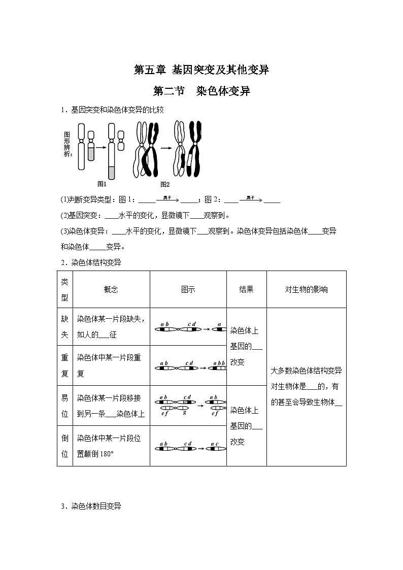 高中生物微专题-必修二知识填空-第5章 第2节 染色体变异-2025年高考生物一轮复习知识填空练习第1页