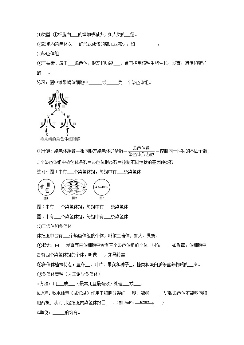 高中生物微专题-必修二知识填空-第5章 第2节 染色体变异-2025年高考生物一轮复习知识填空练习第2页