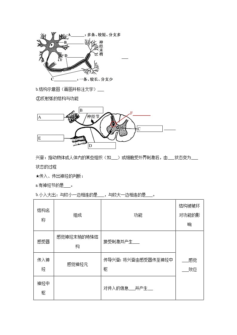 高中生物微专题-选必一知识填空-第2章 第2节 神经调节的基本方式——反射-2025年高考生物一轮复习知识填空练习第2页