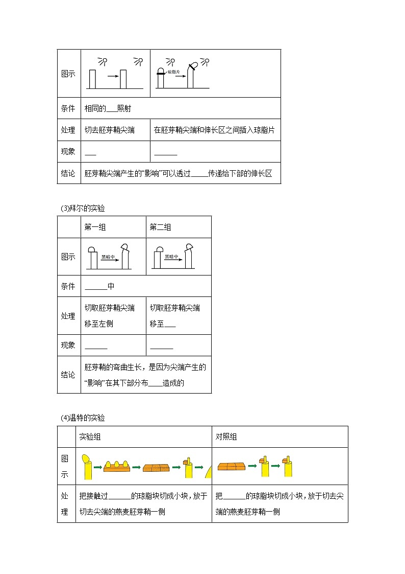 高中生物微专题-选必一知识填空-第5章 第1节 植物生长素-2025年高考生物一轮复习知识填空练习第2页