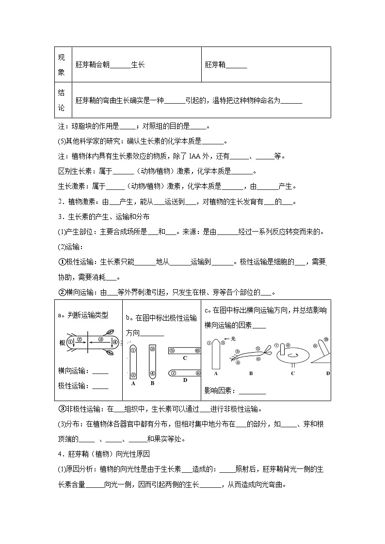 高中生物微专题-选必一知识填空-第5章 第1节 植物生长素-2025年高考生物一轮复习知识填空练习第3页