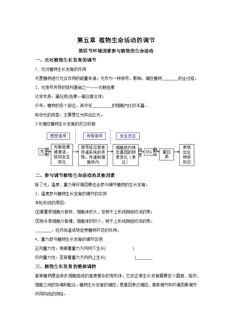 高中生物微专题-选必一知识填空-第5章 第4节 环境因素参与植物的生命活动-2025年高考生物一轮复习知识填空练习第1页