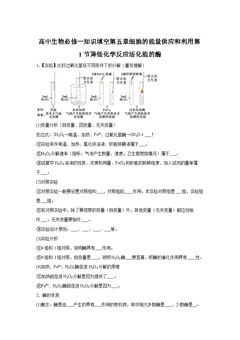高中生物微专题-必修一知识填空-第5章 第1节 降低化学反应活化能的酶-2025年高考生物一轮复习知识填空练习第1页