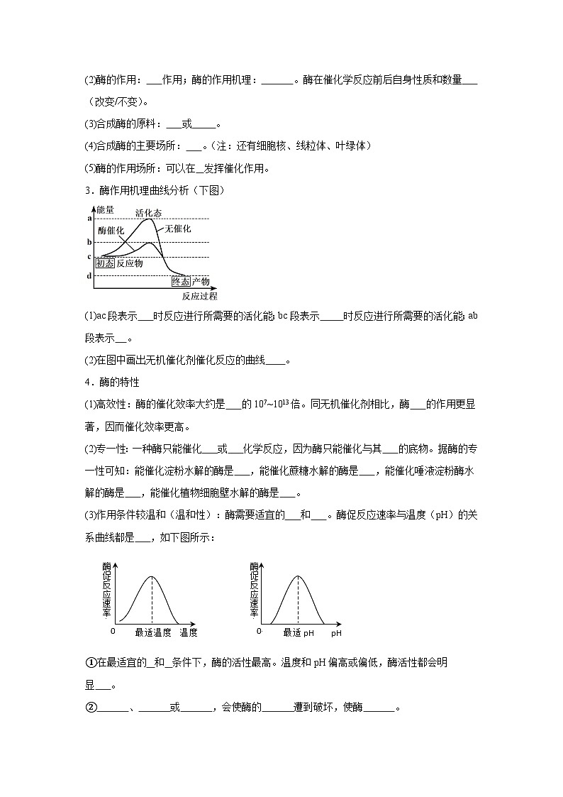 高中生物微专题-必修一知识填空-第5章 第1节 降低化学反应活化能的酶-2025年高考生物一轮复习知识填空练习第2页