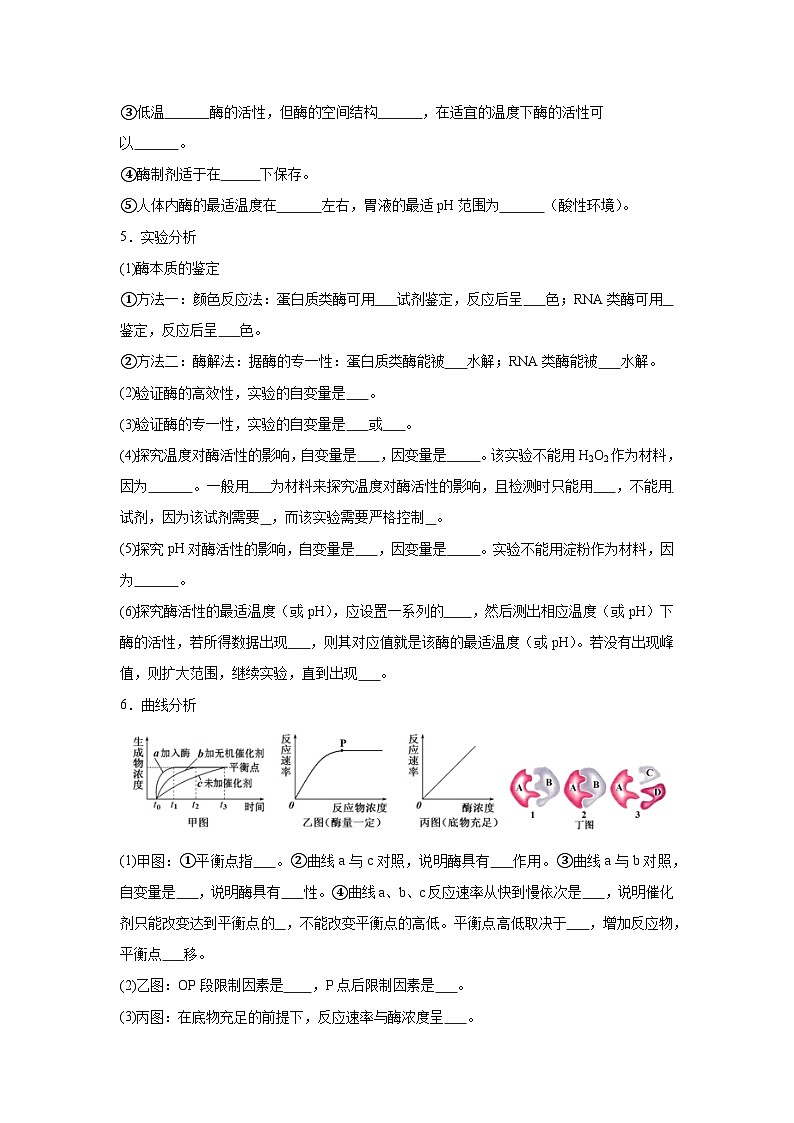 高中生物微专题-必修一知识填空-第5章 第1节 降低化学反应活化能的酶-2025年高考生物一轮复习知识填空练习第3页