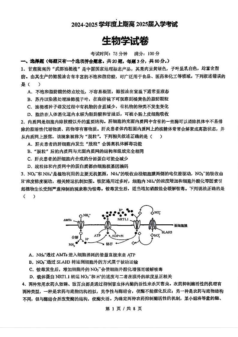 四川省成都市第七中学2024-2025学年高三上学期入学考试生物试卷（附参考答案）01