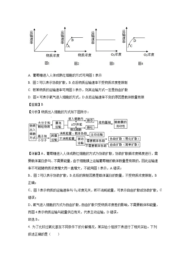 [生物]青海省西宁市大通县2023-2024学年高一下学期期末联考试卷(解析版)03