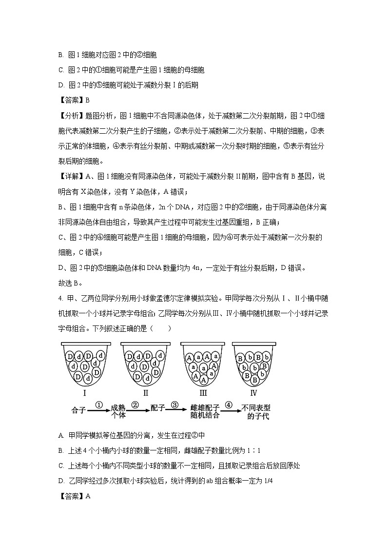[生物]江苏省泰州市2023-2024学年高一下学期期末试卷(解析版)03