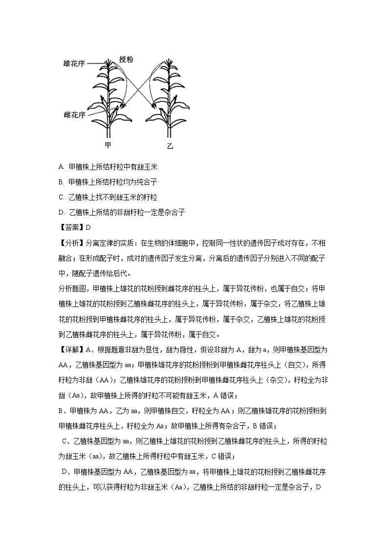 [生物]辽宁省大连市2023-2024学年高一下学期7月期末试卷(解析版)第2页