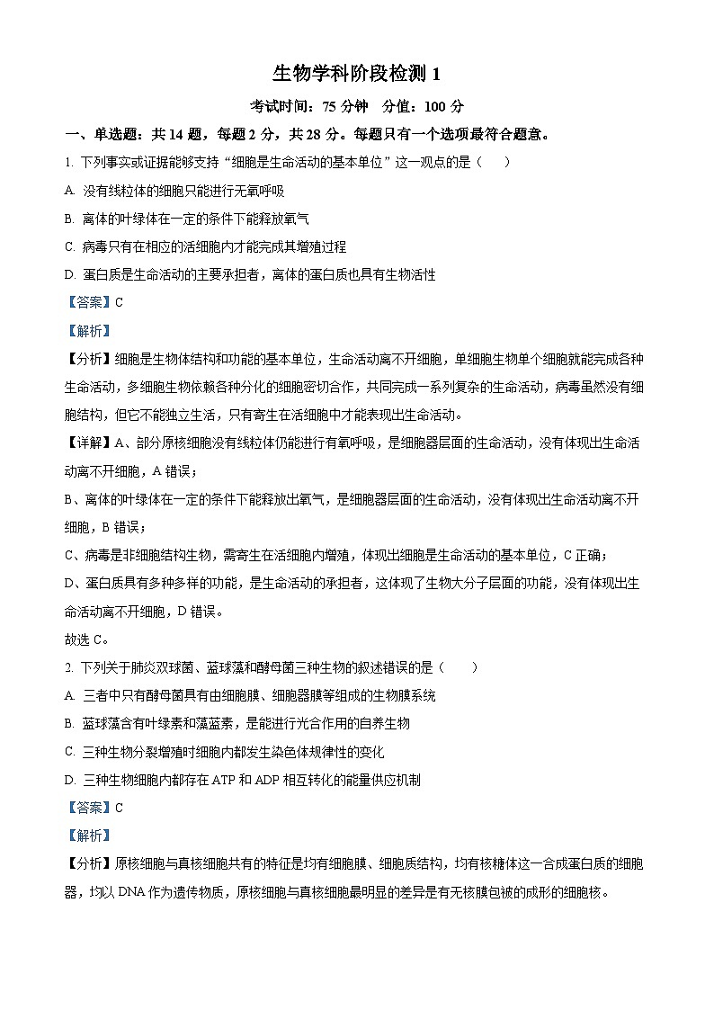 江苏省盐城市射阳县射阳中学2024-2025学年高三上学期9月月考生物试题（原卷版+解析版）01