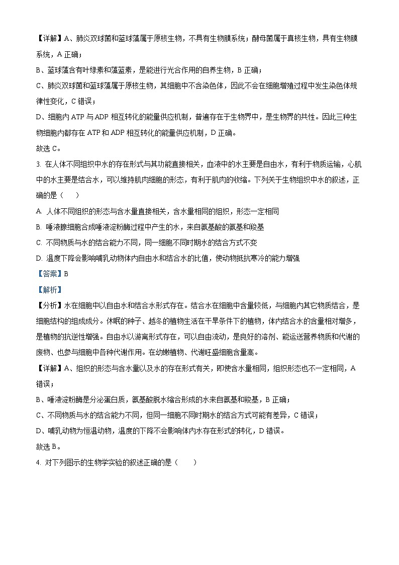 江苏省盐城市射阳县射阳中学2024-2025学年高三上学期9月月考生物试题（原卷版+解析版）02