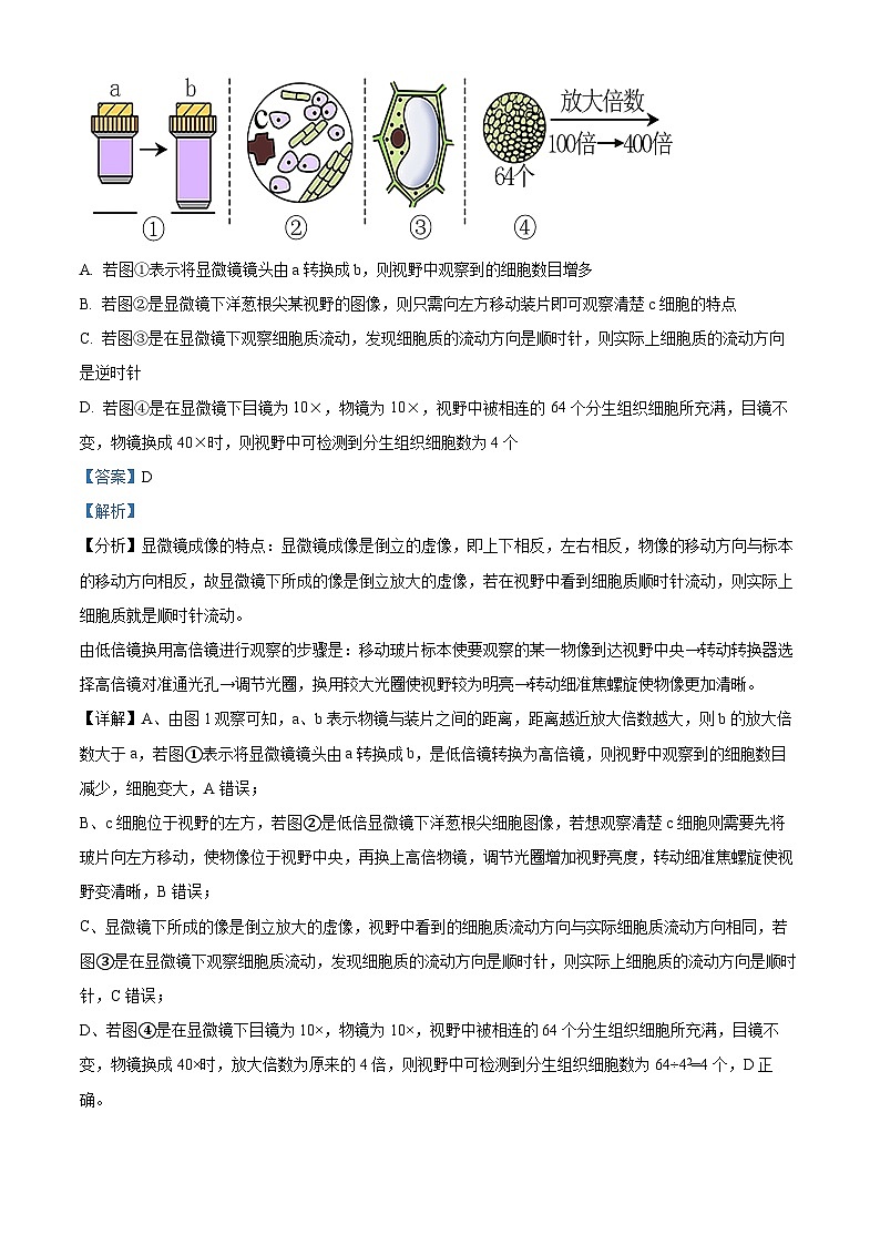 江苏省盐城市射阳县射阳中学2024-2025学年高三上学期9月月考生物试题（原卷版+解析版）03
