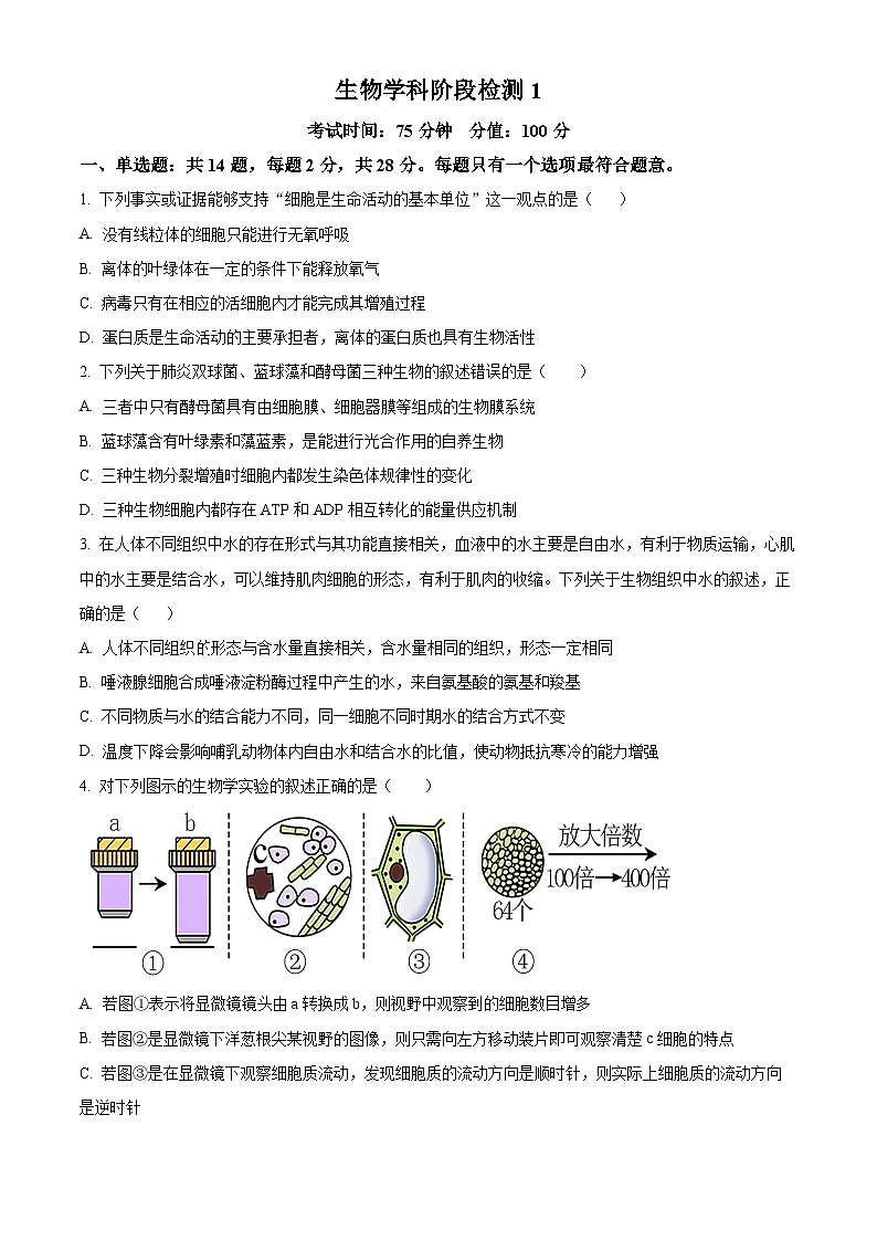 江苏省盐城市射阳县射阳中学2024-2025学年高三上学期9月月考生物试题（原卷版+解析版）01