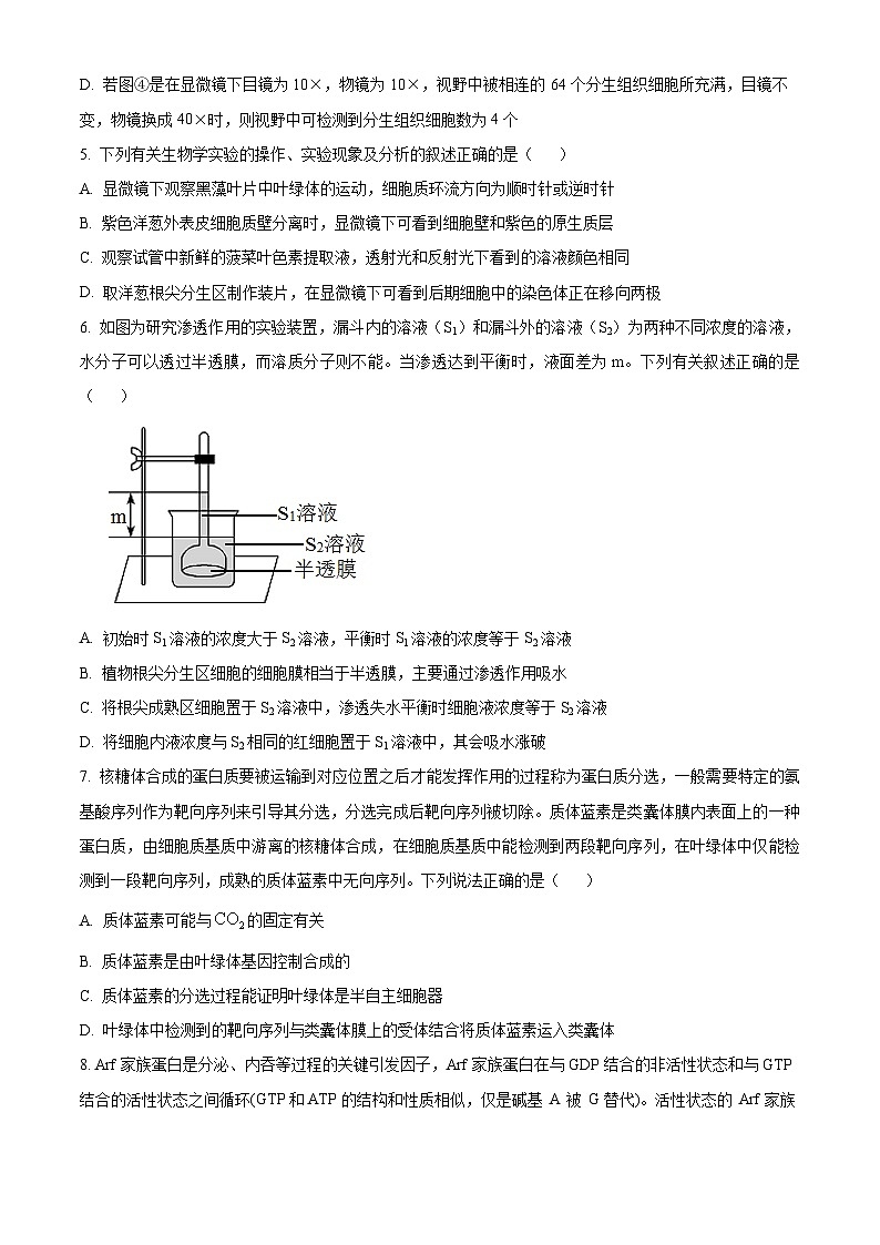 江苏省盐城市射阳县射阳中学2024-2025学年高三上学期9月月考生物试题（原卷版+解析版）02