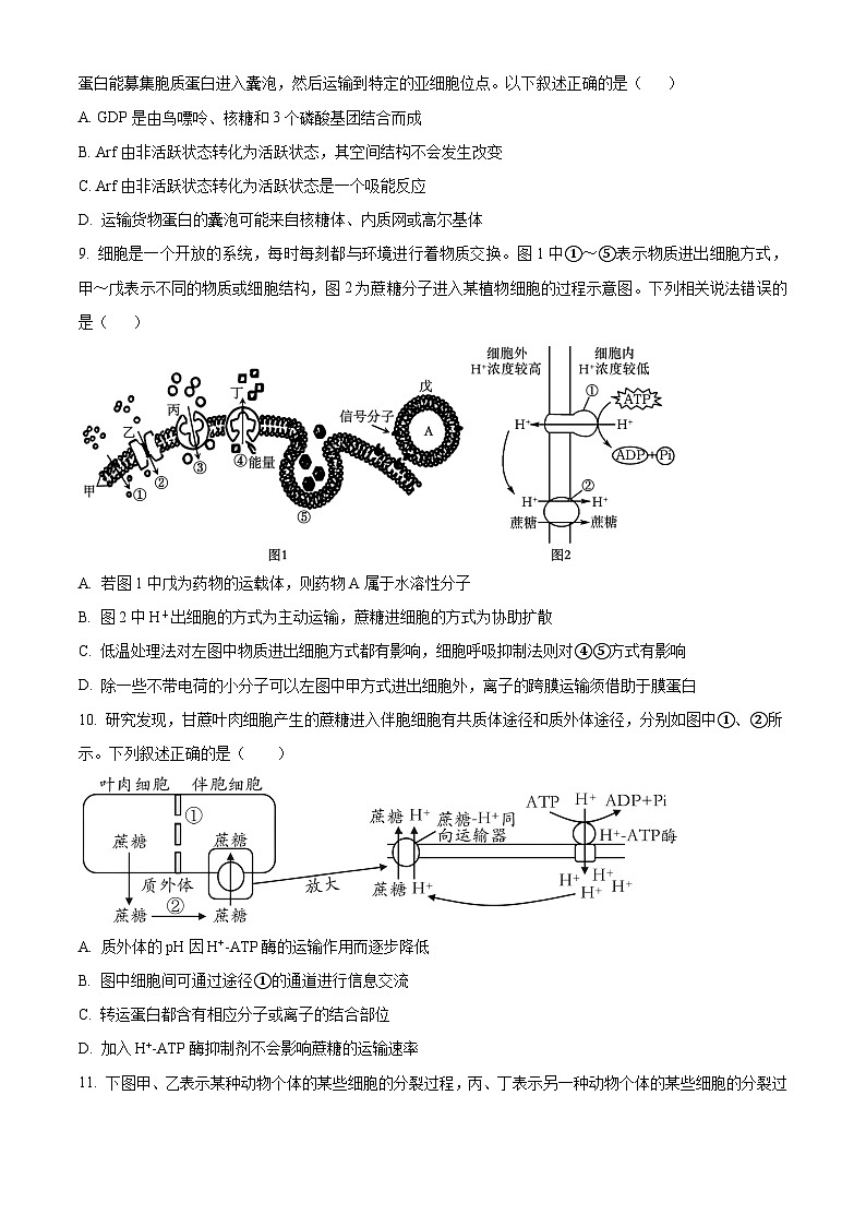 江苏省盐城市射阳县射阳中学2024-2025学年高三上学期9月月考生物试题（原卷版+解析版）03