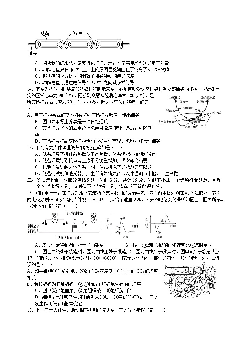 山东省济南市2024_2025学年高二上学期9月学情检测生物试题03