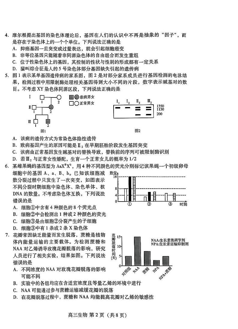 山东省潍坊市2025届高三开学调研监测考试生物试题（PDF版附答案）02