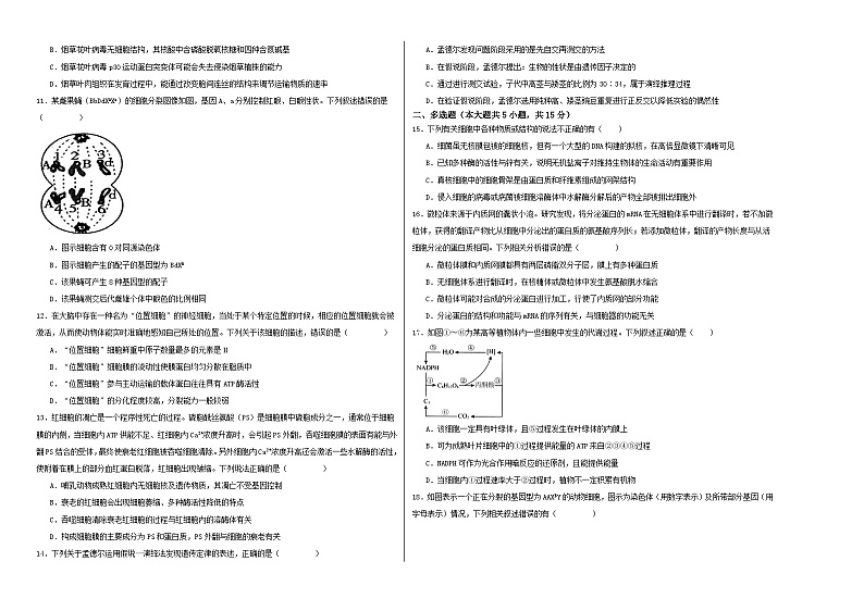 江苏省盐城市射阳县射阳中学2023-2024学年高三上学期9月月考生物试题第2页