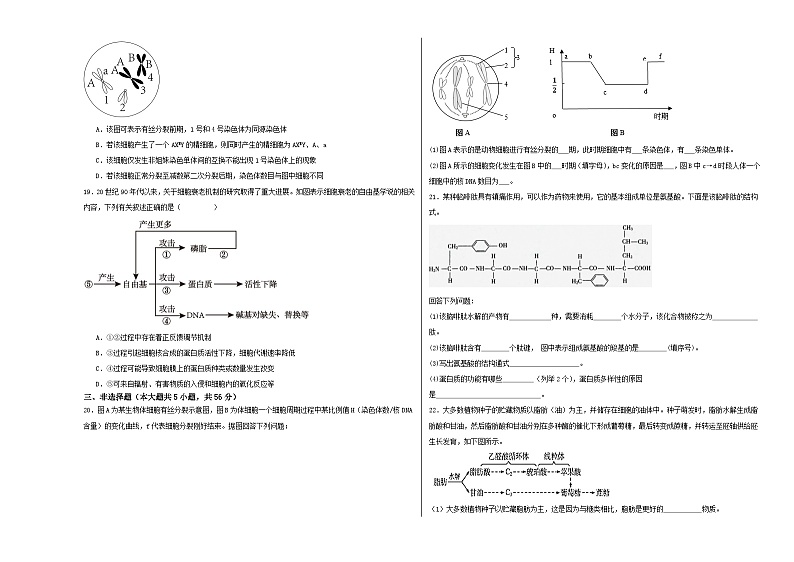 江苏省盐城市射阳县射阳中学2023-2024学年高三上学期9月月考生物试题第3页