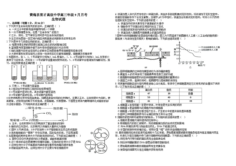 黄梅县育才高中高三年级月考第1页