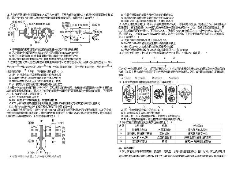 黄梅县育才高中高三年级月考第2页