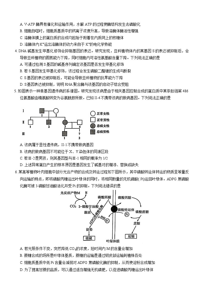 山东省青岛市2024年高三年级9月期初调研检测 生物第2页
