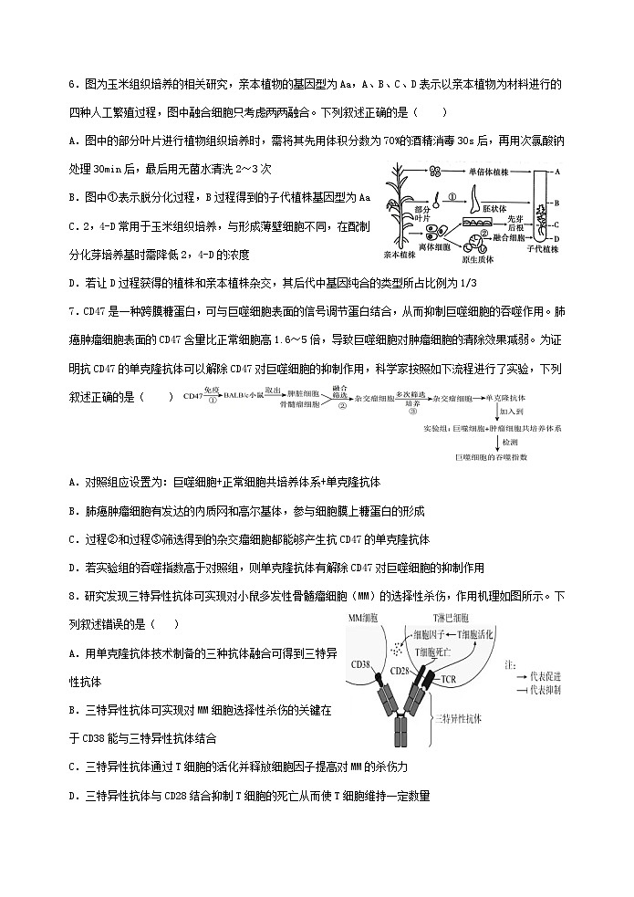 福建省福州市六校2023-2024学年高二下学期期末考试生物试题第3页