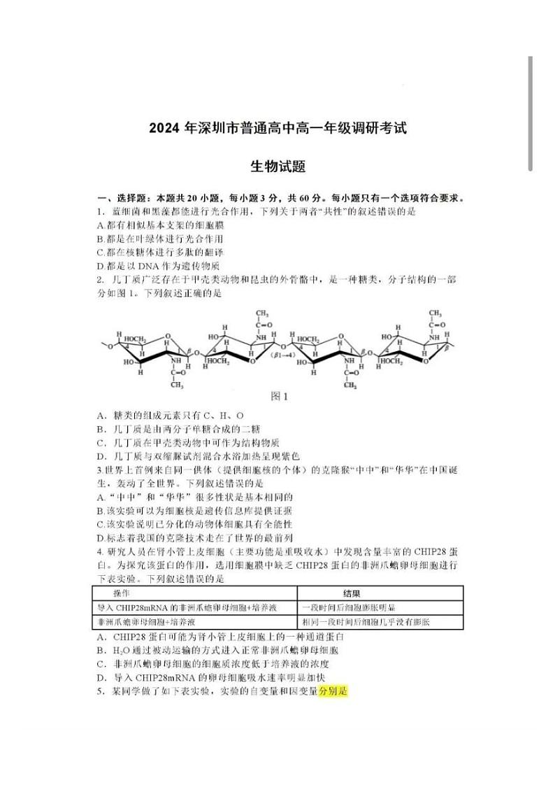 广东省深圳市普通高中2024年高一年级下学期7月期末调研考试+生物01