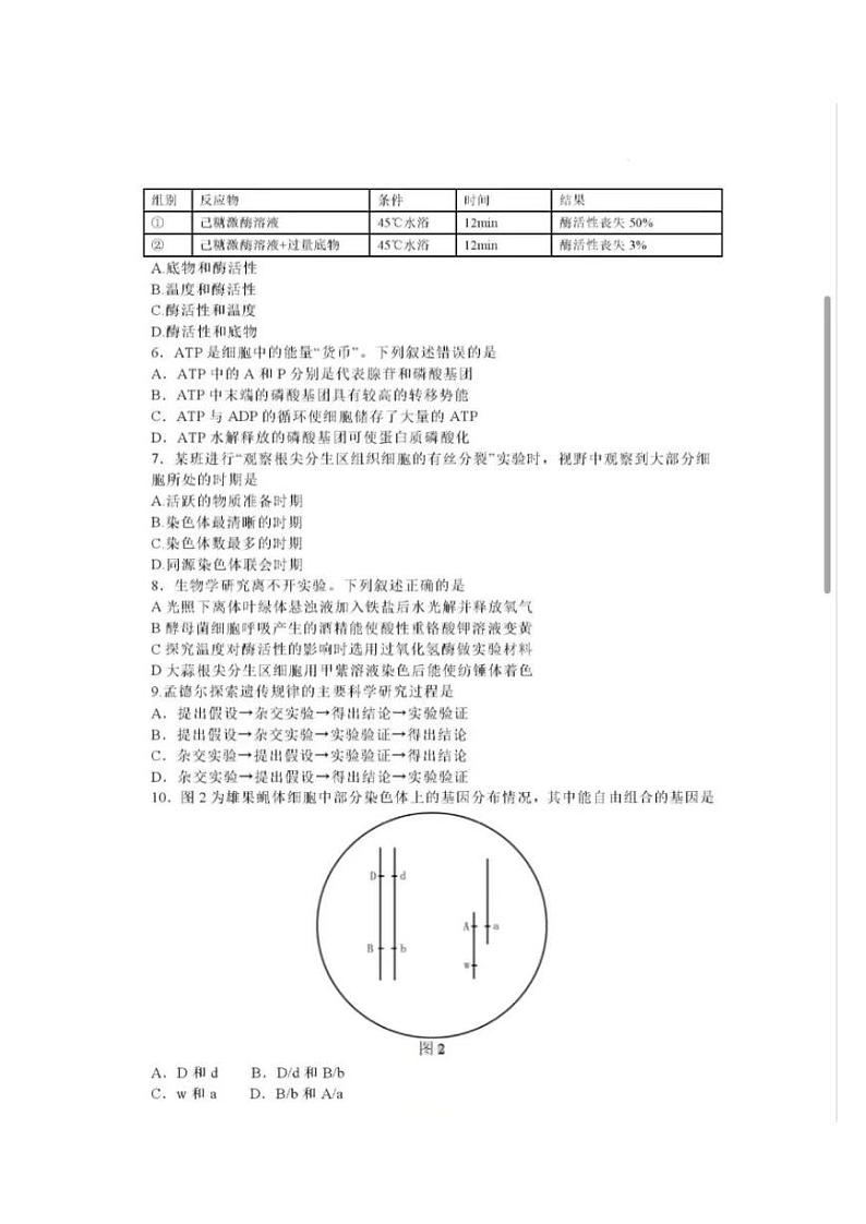 广东省深圳市普通高中2024年高一年级下学期7月期末调研考试+生物02