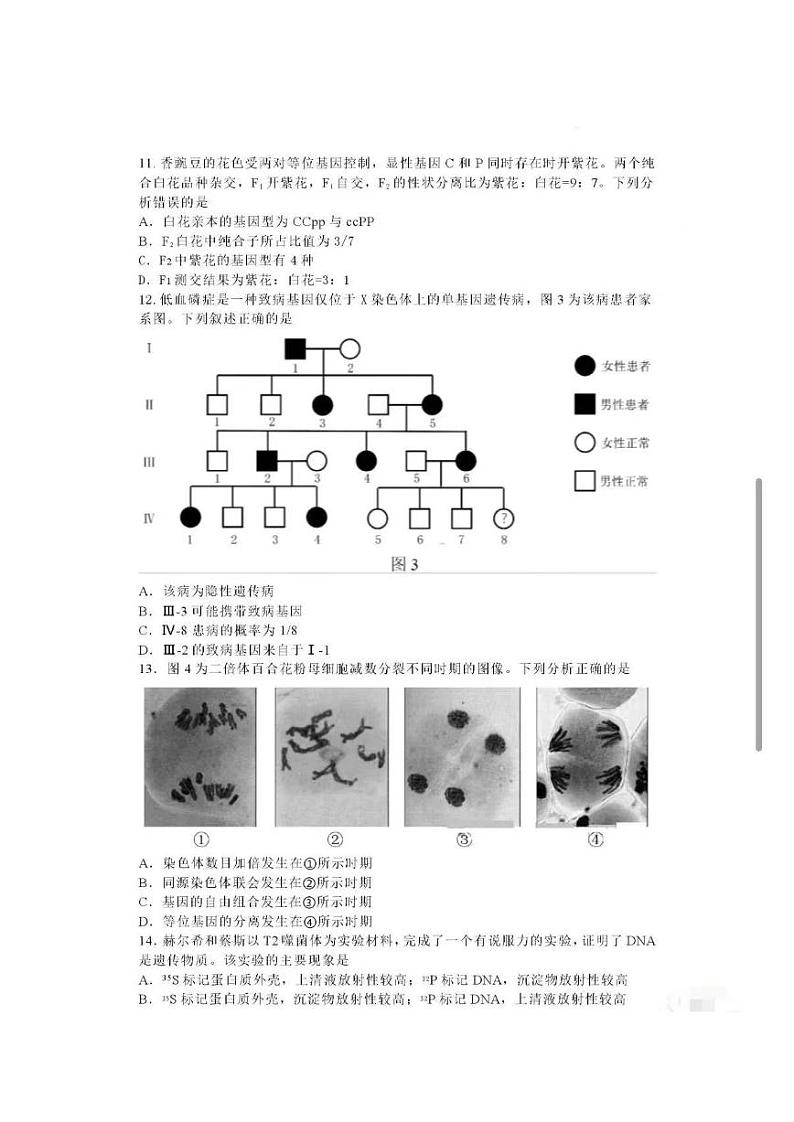 广东省深圳市普通高中2024年高一年级下学期7月期末调研考试+生物03