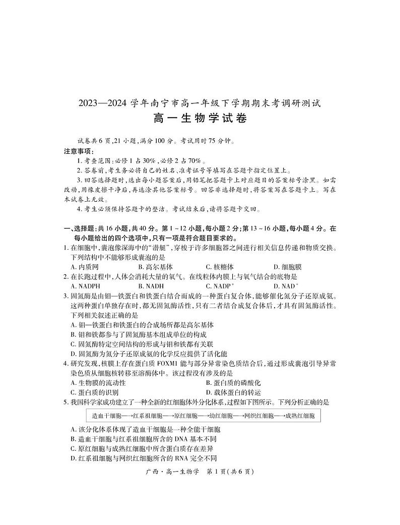 广西壮族自治区2023-2024学年南宁市高一年级下学期期末考试调研测试+生物01