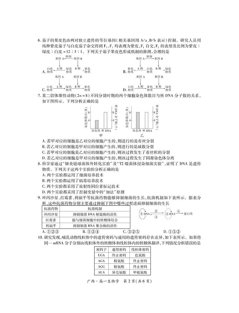 广西壮族自治区2023-2024学年南宁市高一年级下学期期末考试调研测试+生物02