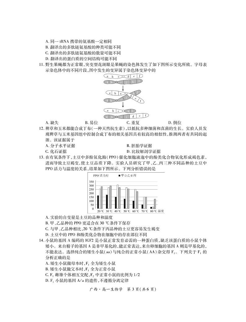广西壮族自治区2023-2024学年南宁市高一年级下学期期末考试调研测试+生物03