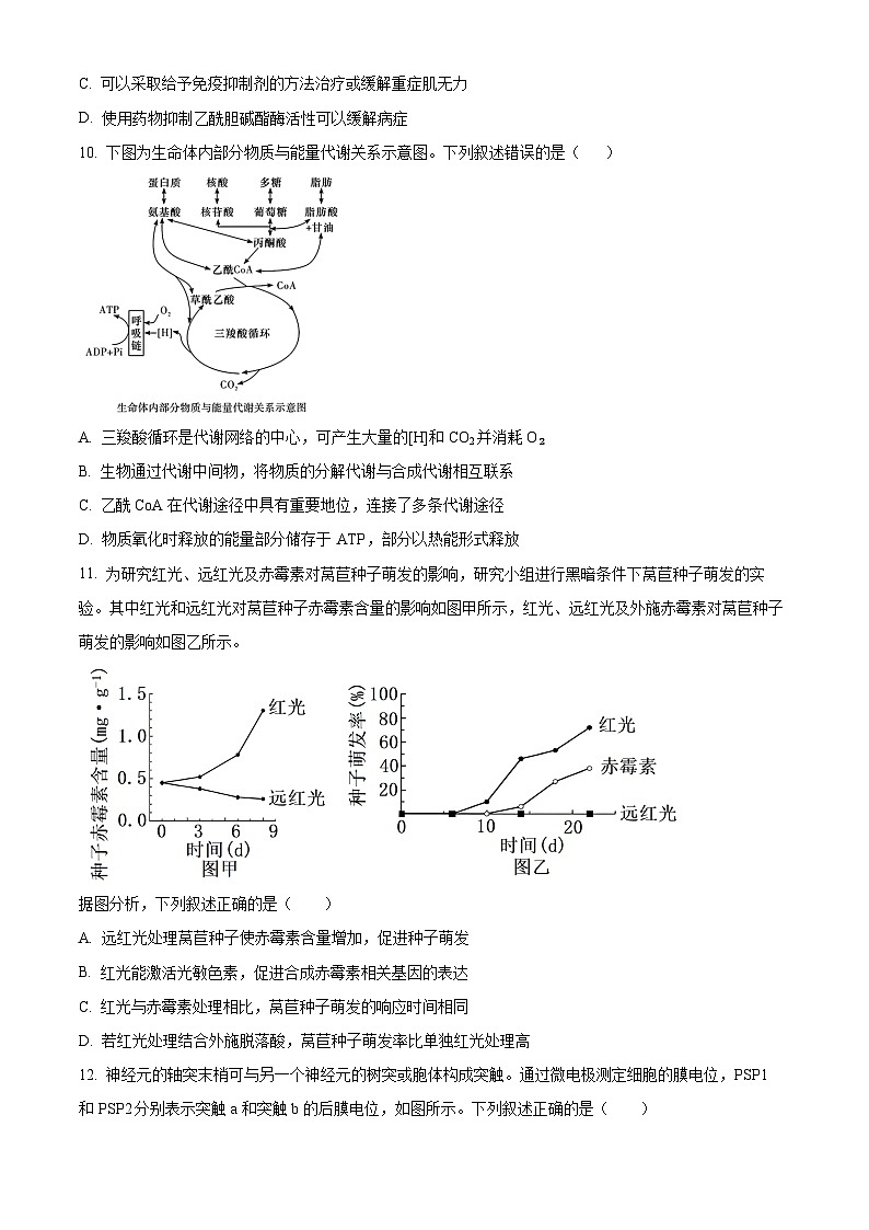 湖南省长沙市第一中学2024-2025学年高三上学期开学摸底考试生物试卷（Word版附解析）03