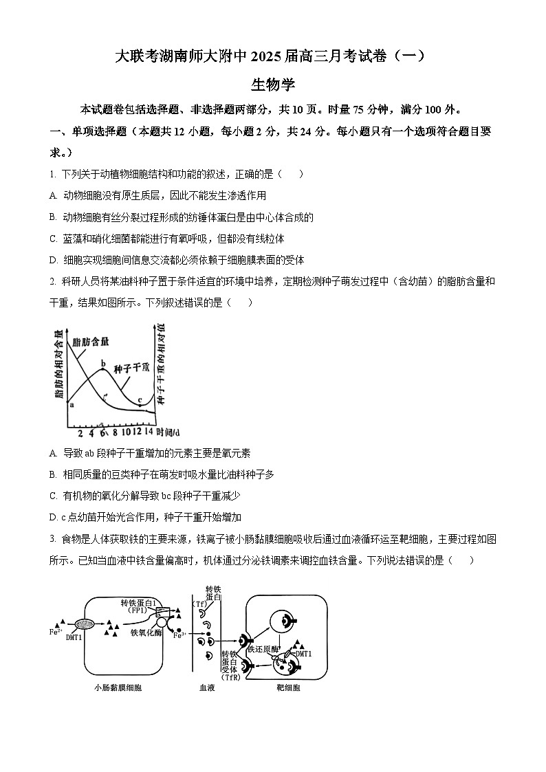 湖南省长沙市师大附中2024-2025学年高三上学期月考（一）生物试卷（Word版附解析）01