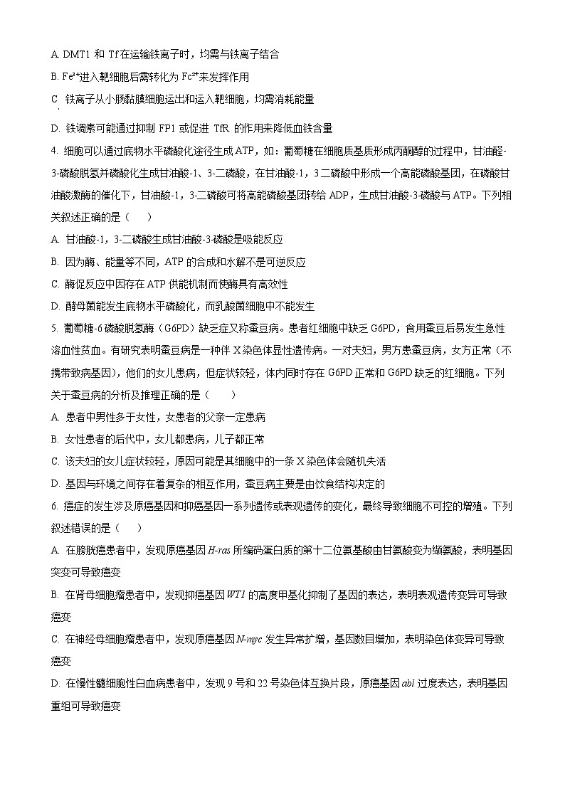湖南省长沙市师大附中2024-2025学年高三上学期月考（一）生物试卷（Word版附解析）02