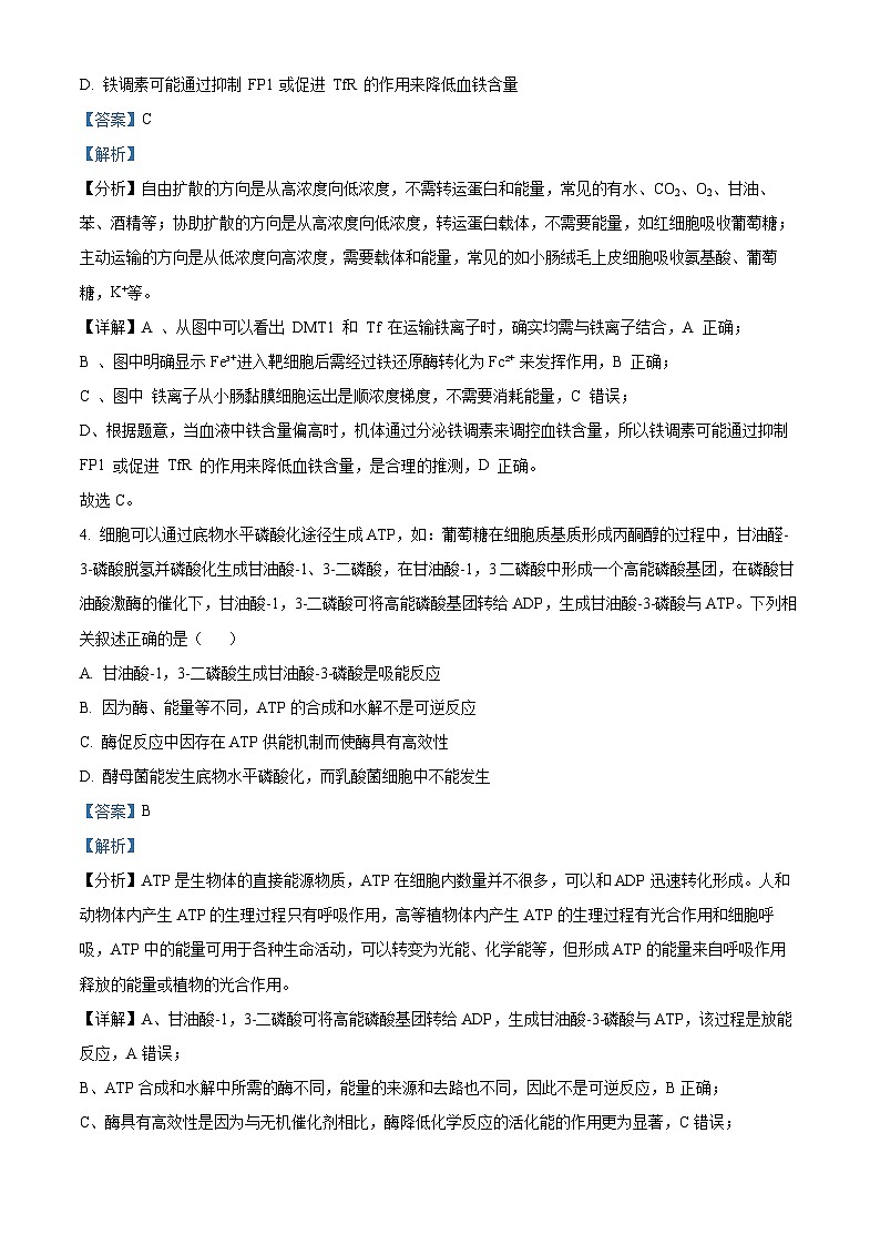 湖南省长沙市师大附中2024-2025学年高三上学期月考（一）生物试卷（Word版附解析）03