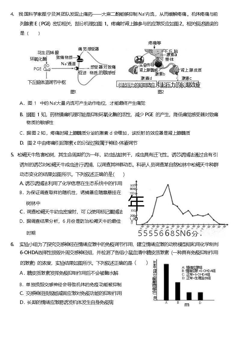 重庆市名校方案2025届高三上学期9月联考生物试卷（Word版附解析）第2页